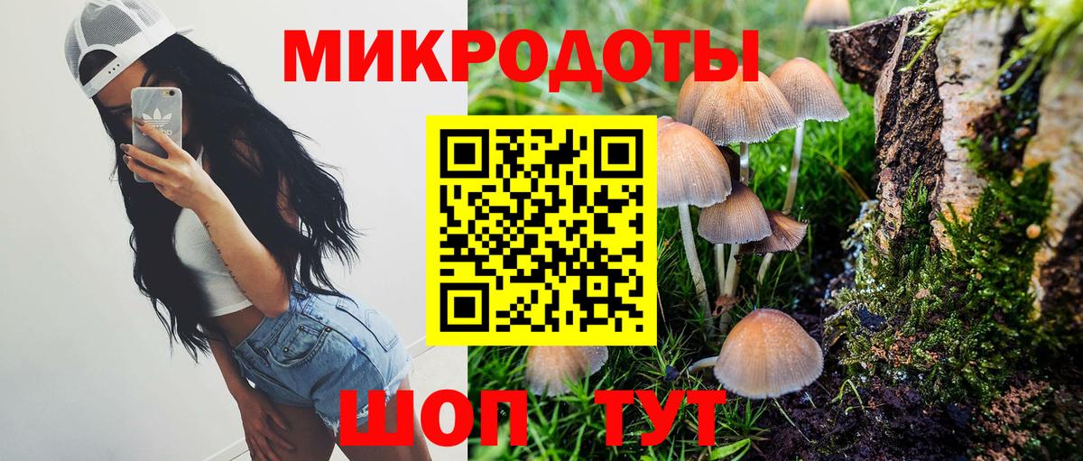 Псилоцибиновые грибы мухоморы Удомля