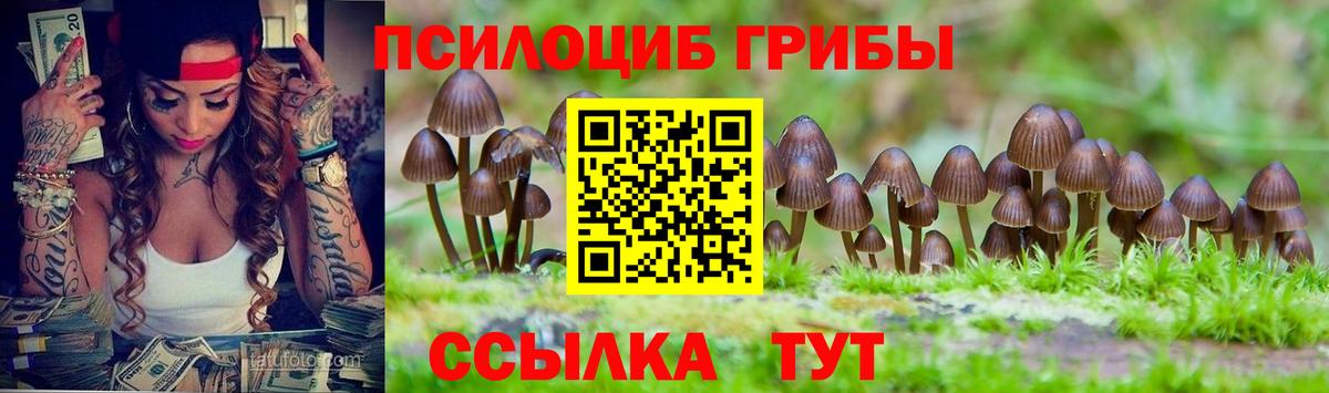 купить   Галлюциногенные грибы GOLDEN TEACHER  Вход с VPN  Удомля 